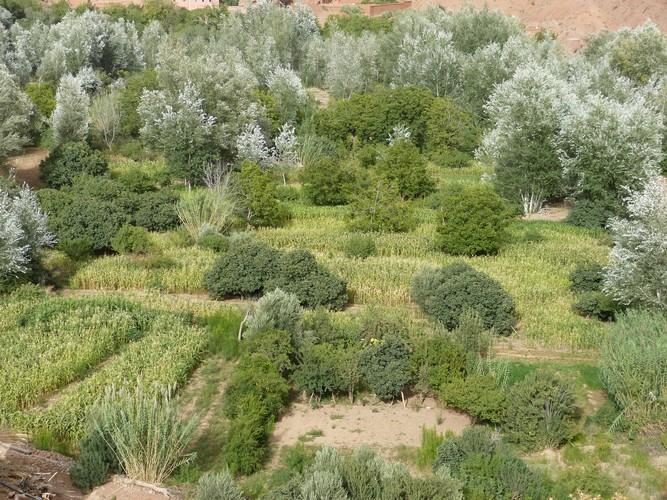 מלון Ait Ougliff Kasbah Ait Arbi מראה חיצוני תמונה